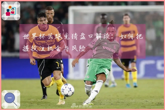 世界杯买球竞猜盘口解读：如何把握投注机会与风险