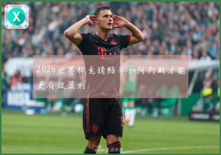 2026世界杯竞猜赔率如何判断才能更有效盈利