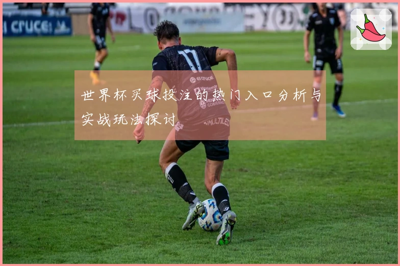 世界杯买球投注的热门入口分析与实战玩法探讨