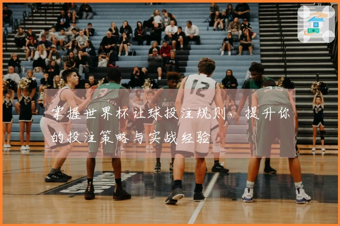 掌握世界杯让球投注规则，提升你的投注策略与实战经验