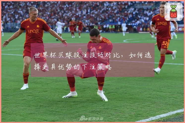 世界杯买球投注技巧对比，如何选择更具优势的下注策略
