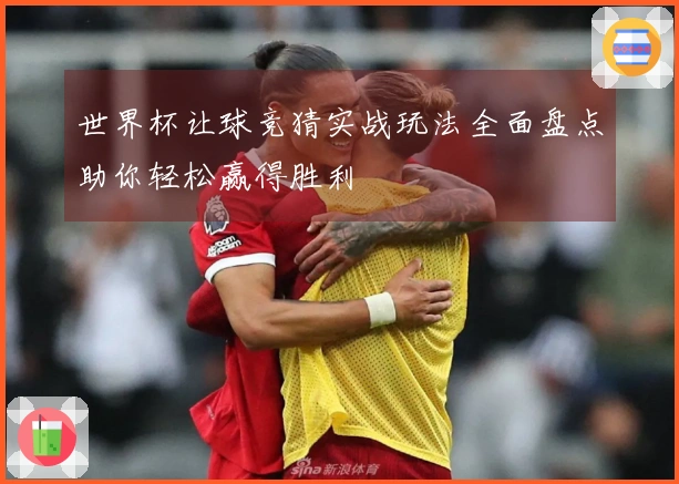 世界杯让球竞猜实战玩法全面盘点助你轻松赢得胜利