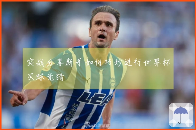 实战分享新手如何巧妙进行世界杯买球竞猜