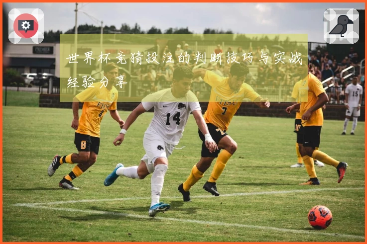 世界杯竞猜投注的判断技巧与实战经验分享
