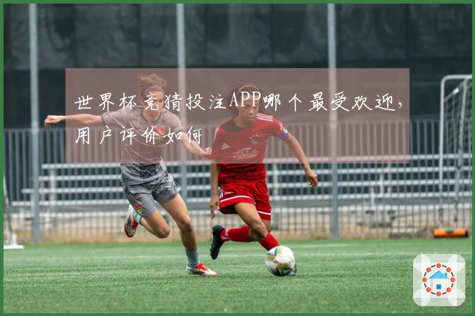 世界杯竞猜投注APP哪个最受欢迎，用户评价如何