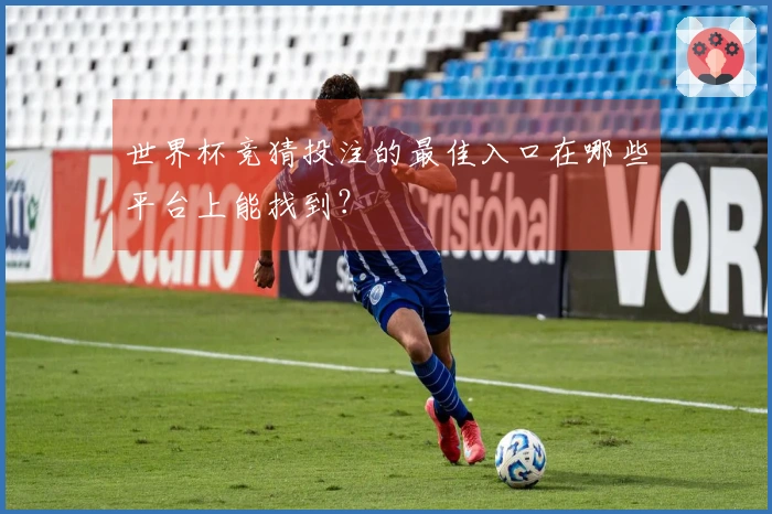 世界杯竞猜投注的最佳入口在哪些平台上能找到？