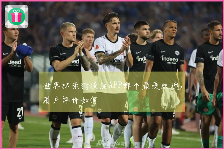 世界杯竞猜投注APP哪个最受欢迎，用户评价如何