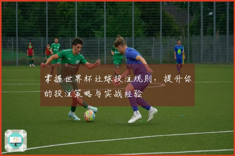 掌握世界杯让球投注规则，提升你的投注策略与实战经验